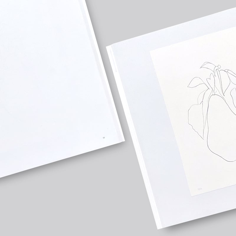 Ellsworth Kelly / Plant Lithographs | POST