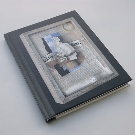 Birds of a Feather Joseph Cornell’s Homage to Juan Gris