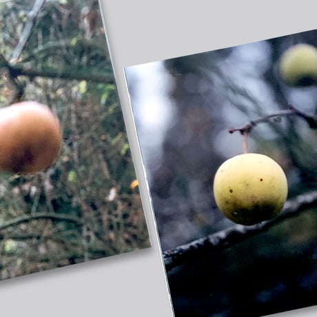 Brigham Baker / Only Apples