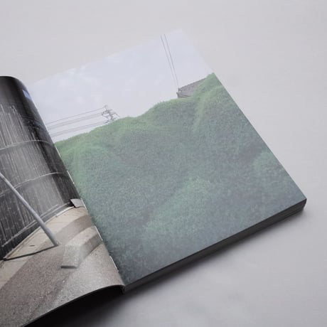 Veronika Spierenburg / Oya-Ishi - Oya Stone