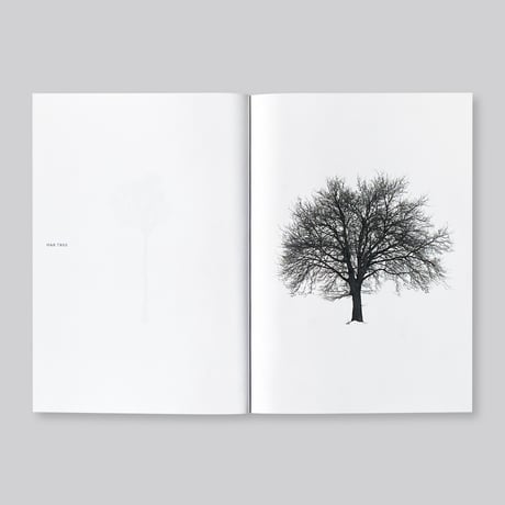 Todd Schulz / Five Leaves Left