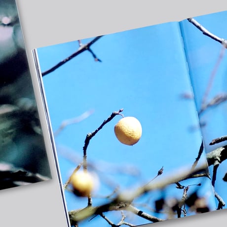 Brigham Baker / Only Apples