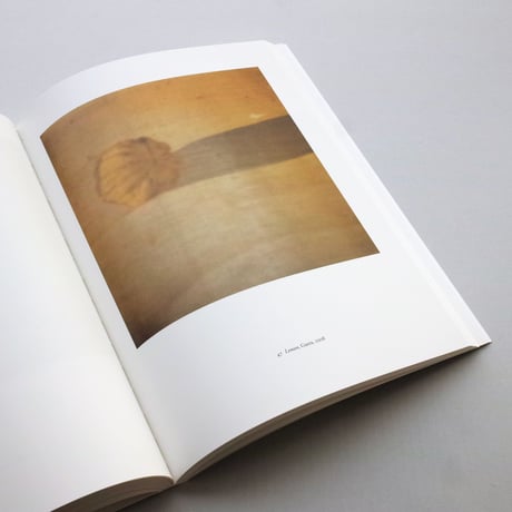 Cy Twombly / photographien, 1951-2010