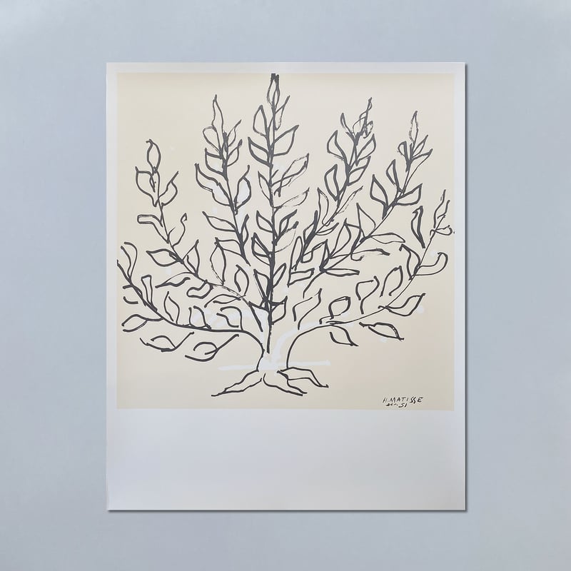 4万円 アンリ マティス （HENRI MATISSE）の絵 作品名：草むら（LE