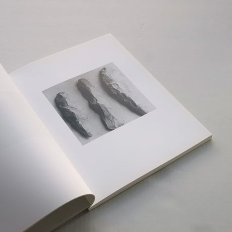 Carly Steinbrunn / THE VOYAGE OF DISCOVERY
