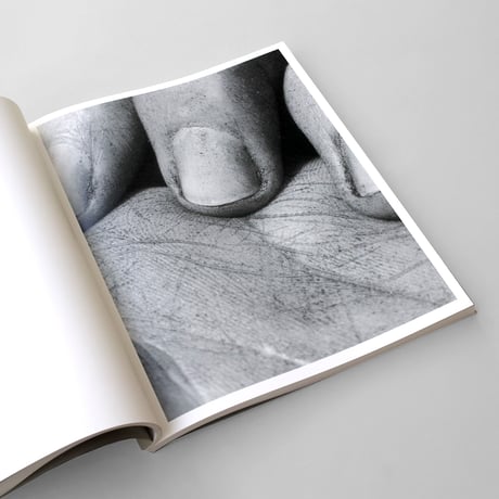 Joselito Verschaeve / If I Call Stone Blue It Is Because Blue Is The Precise Word