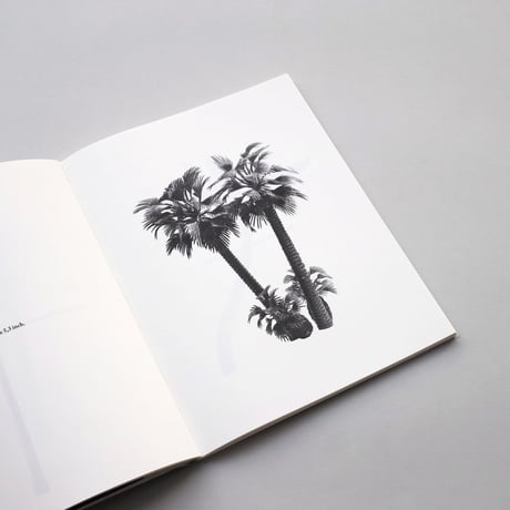 Bruno Roles / A Few Model Palm Trees