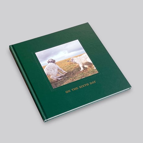 Alessandra Sanguinetti / ON THE SIXTH DAY[SIGNED]
