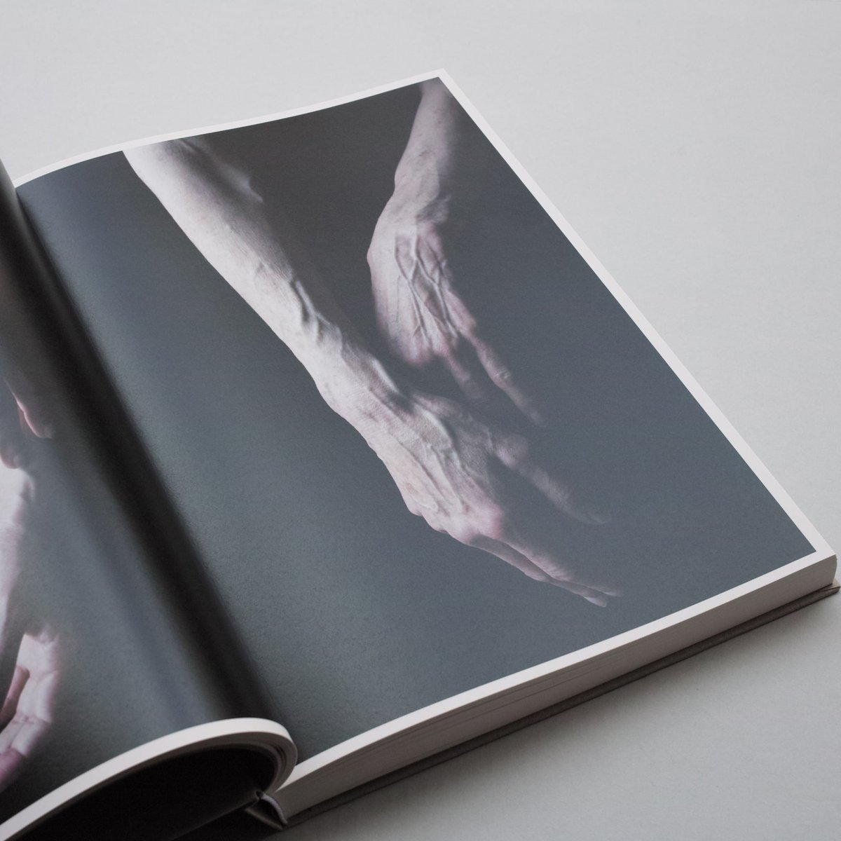 Carla van de Puttelaar / Adornments | POST