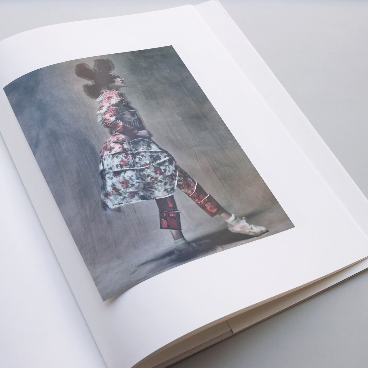 【PAOLO ROVERSI:BIRDS】パオロ・ロヴェルシ　限定1300部 PAOLO ROVERSI:BIRDS】パオロ・ロヴェルシ 限定1300部 パオロ