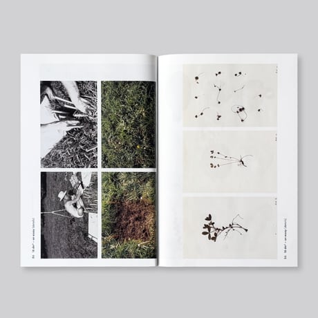 herman de vries / all this here