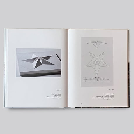Robert Irwin  / Site Determined