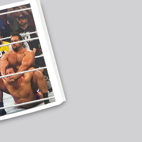 Stan Van Rompaey / Notes on Bimbos and Bodybuilders