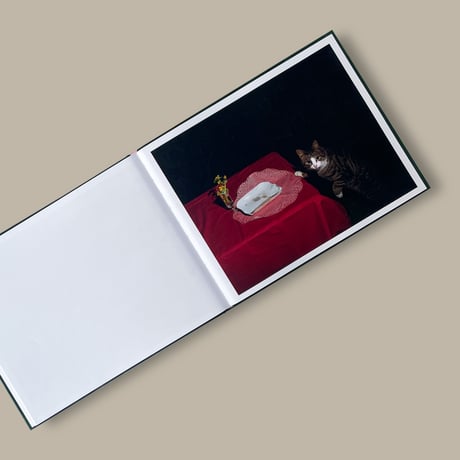 【CC】Lia Darjes / PLATES I-XXXI