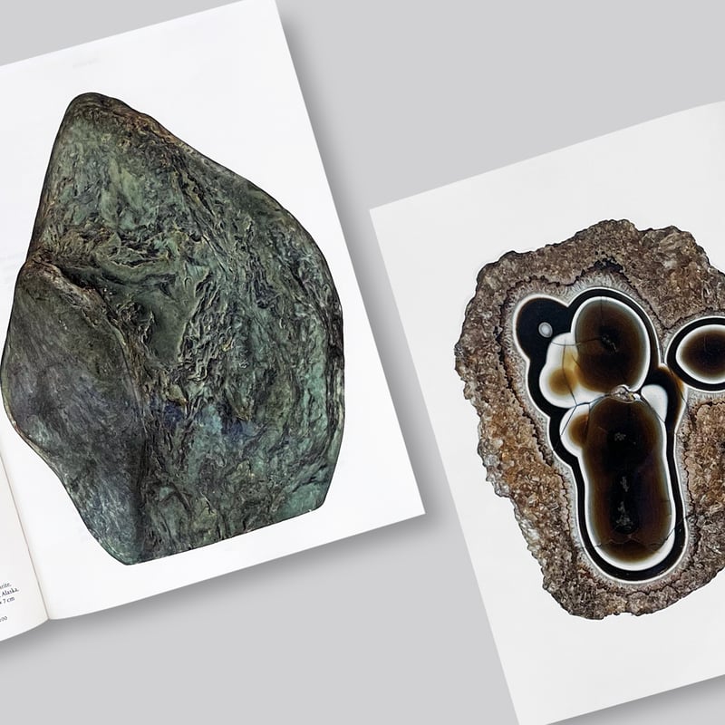 アート・デザイン・音楽 ROGER CAILLOIS LA LECTURE DES PIERRES La Lecture des Pierres - Roger Caillois – 50 Watts Books