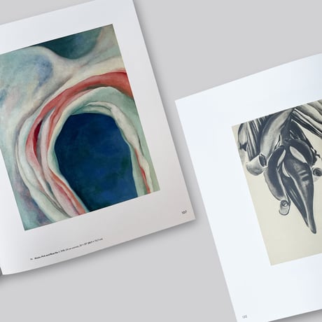 Georgia O'Keeffe / To See Takes Time