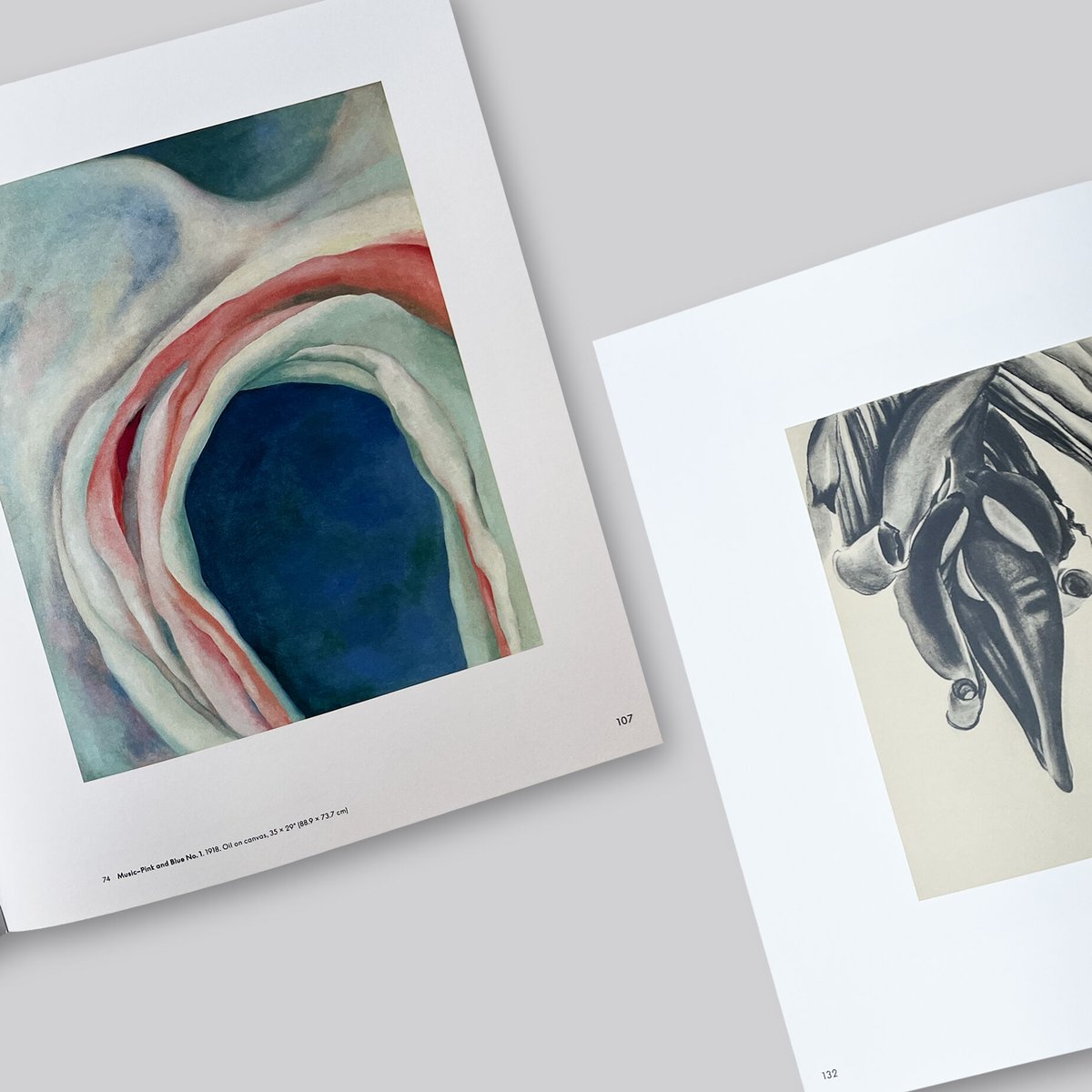 The Art & Life of Georgia O'Keeffe　　英文 The Art and Life of Georgia O'Keeffe: Jan Garden Castro