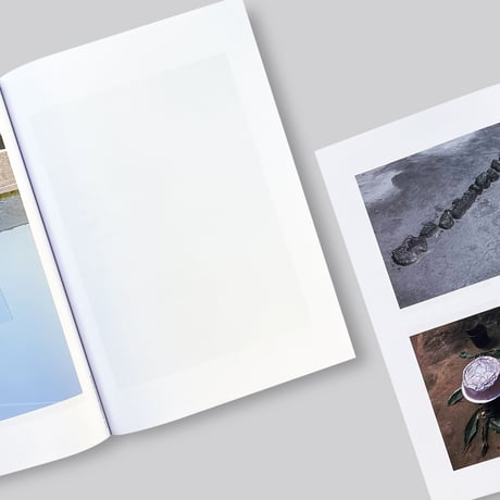 【Signed】Viviane Sassen / Phosphor