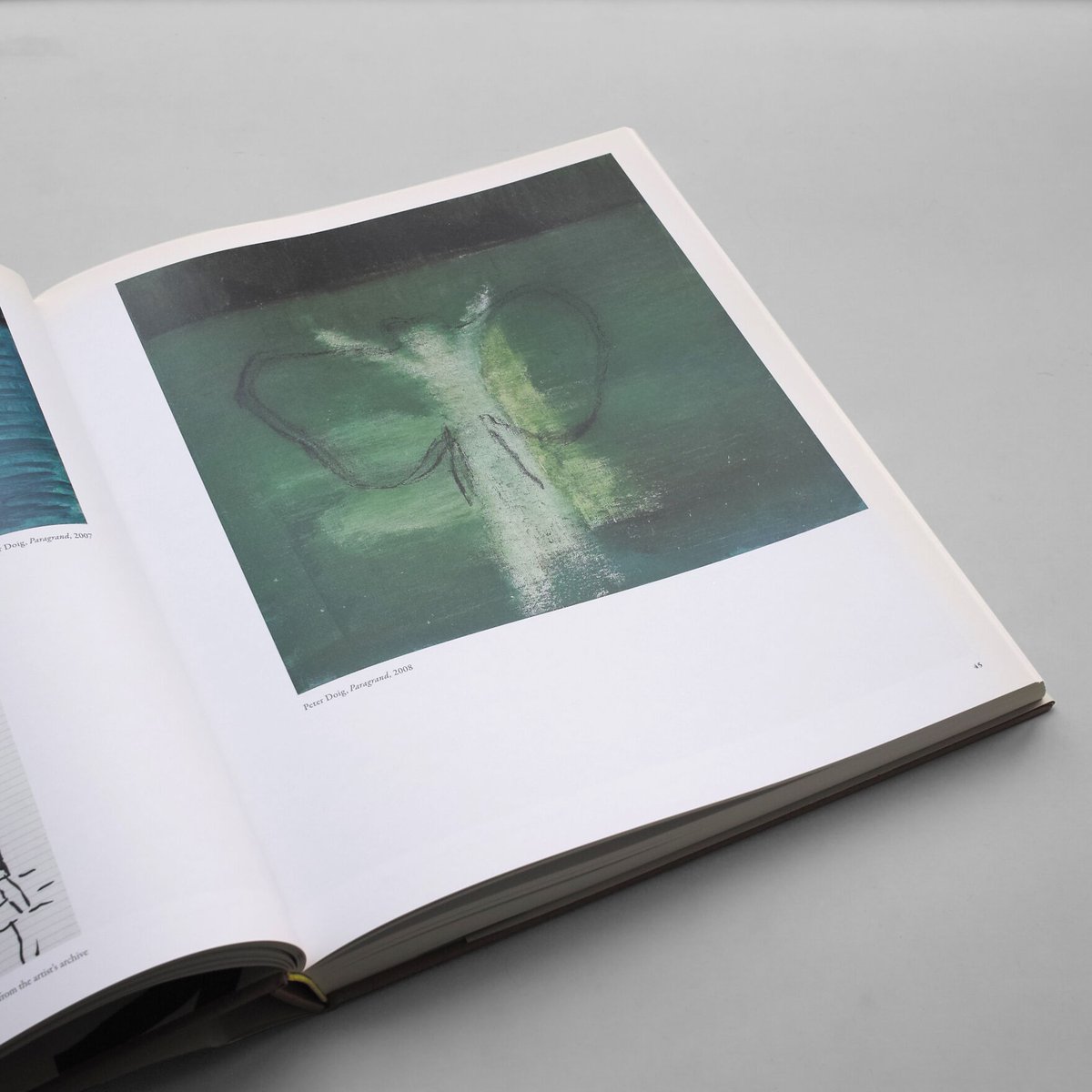Amazon | Peter Doig | Wright, Barnaby, Lampert, Catherine