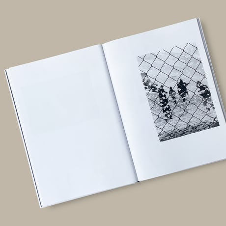 【CC】Geraldo de Barros / SOBRAS