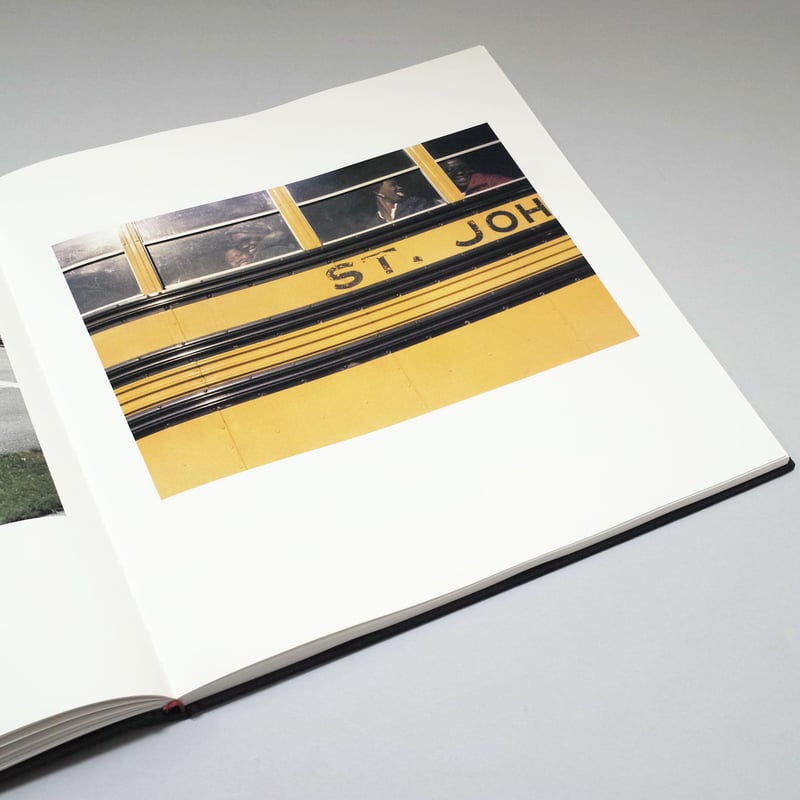 William Eggleston / The Democratic Forest. Sele