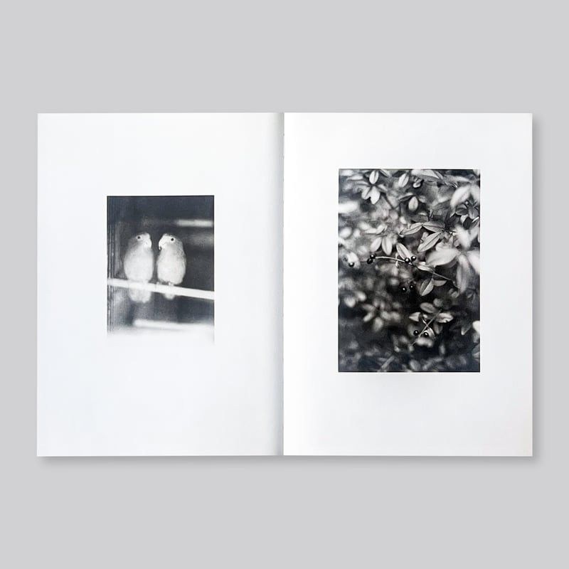 Jochen Lempert / Paare / Pairs | POST