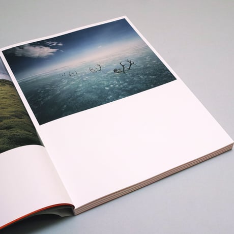 Scarlett Hooft Graafland/ Shores Like You