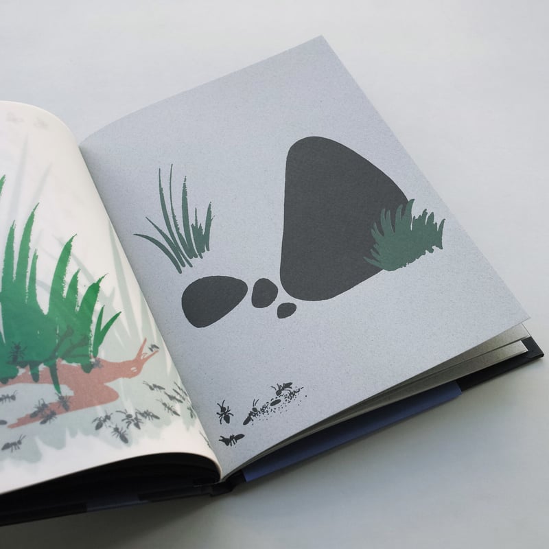 Bruno Munari / In the Darkness of the Night | POST