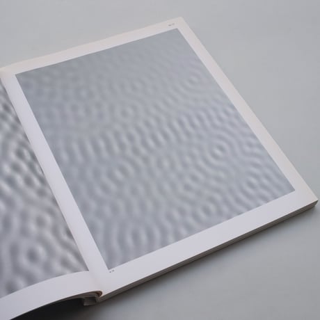 Carsten Nicolai / Static Fades