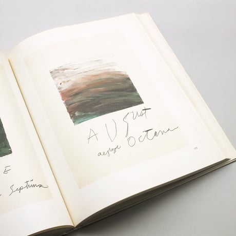 Cy Twombly / Series sobre paper 1959-1987
