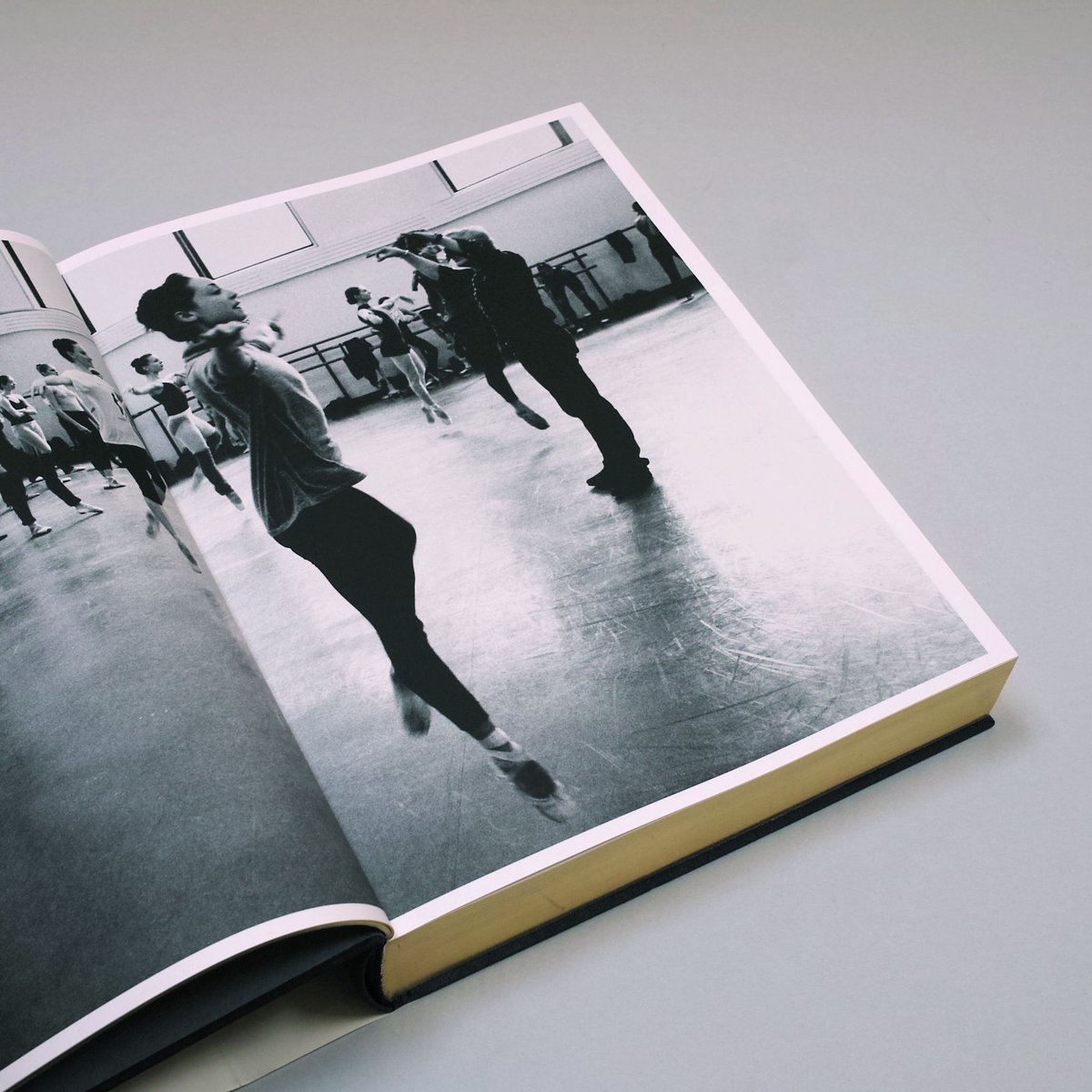 アート・デザイン・音楽 Ballet Henry Leutwyler STEIDL アート・デザイン・音楽 Ballet Henry Leutwyler STEIDL Ballet