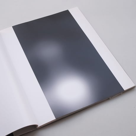 Carsten Nicolai / fades