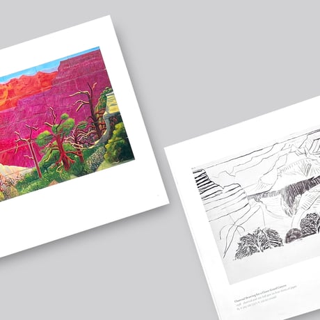 David Hockney / Space and Line