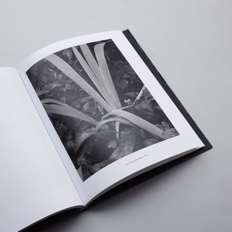 Paul Strand / The Garden at Orgeval
