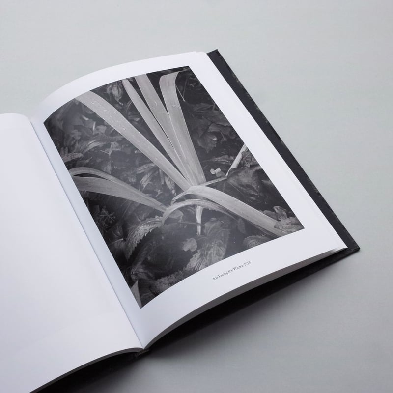 PAUL STRAND ポール・ストランド 写真少年漂流記: 圧倒的な才能を持ち現代アメリカの芸術写真を