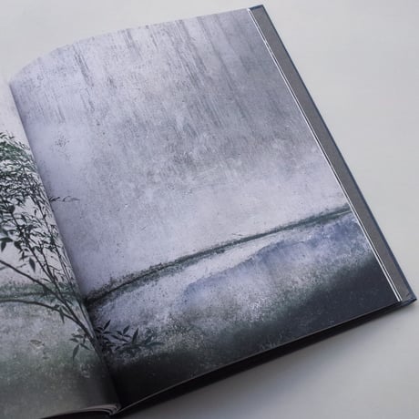 Hélène Binet / The Walls of Suzhou Gardens