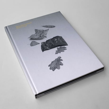 Alexandra Navratil / Brittle Land