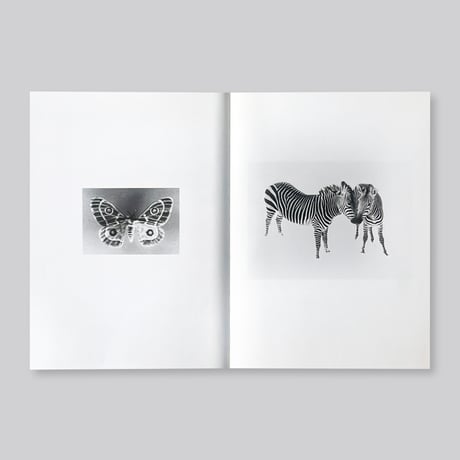 Jochen Lempert / Paare / Pairs
