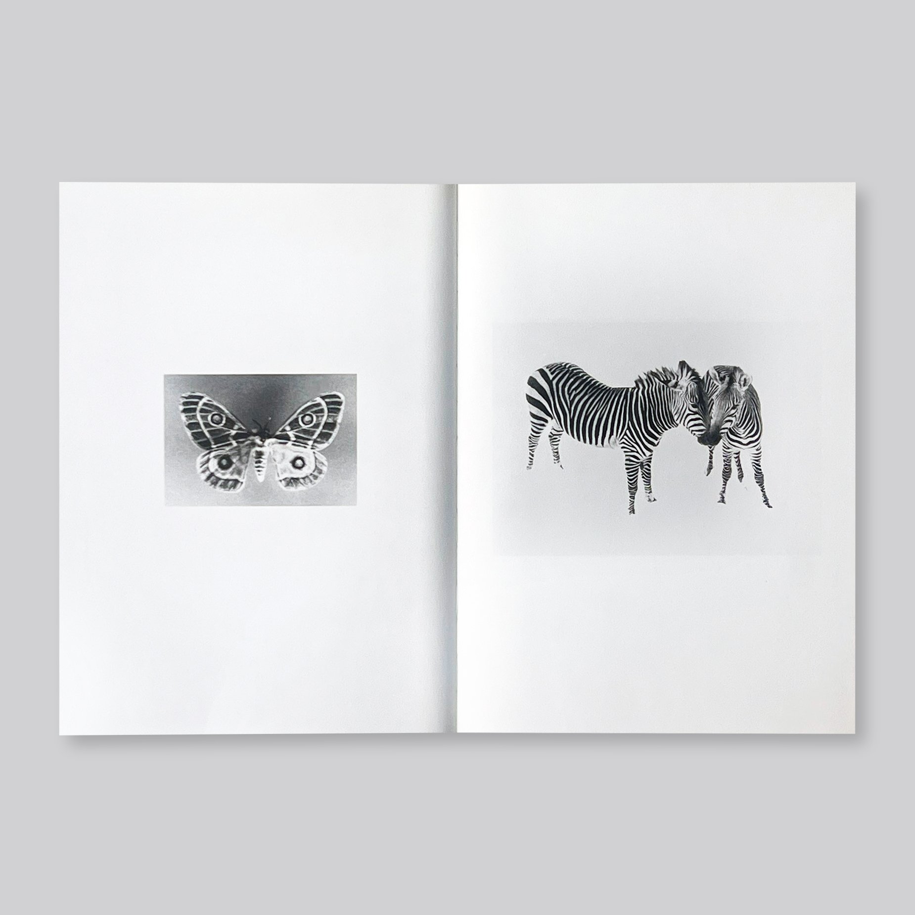 Jochen Lempert / Paare / Pairs | POST