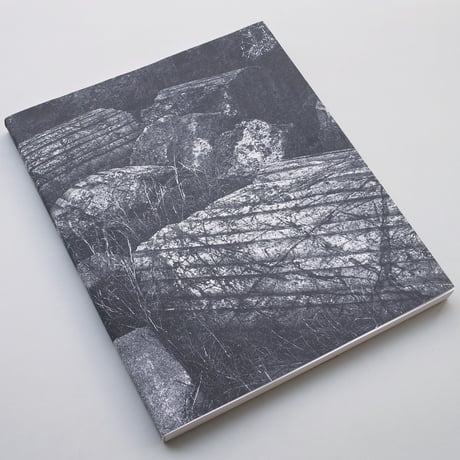 Sybren Vanoverberghe / 1099