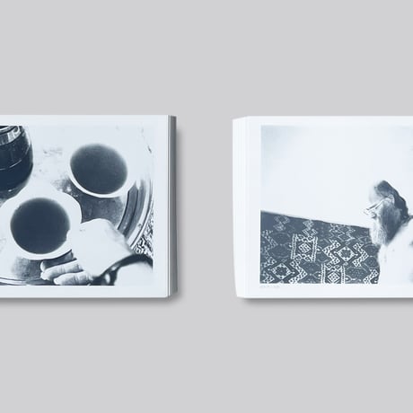 Herman de vries / A Random Sample Of The Seeings Of My Beings