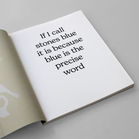 Joselito Verschaeve / If I Call Stone Blue It Is Because Blue Is The Precise Word