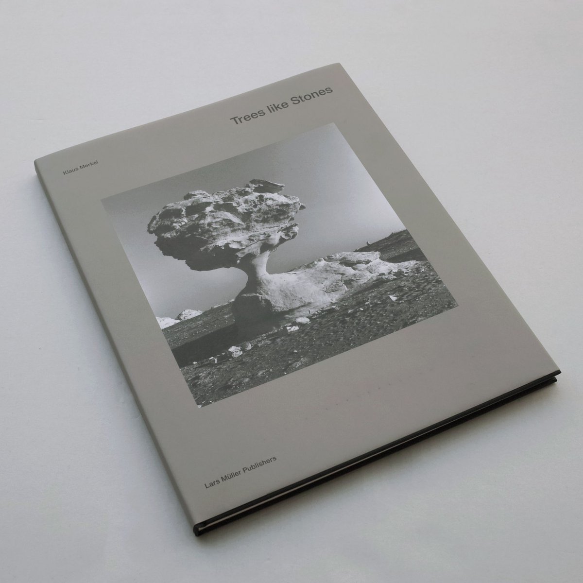 Klaus Merkel / Trees like Stones | POST