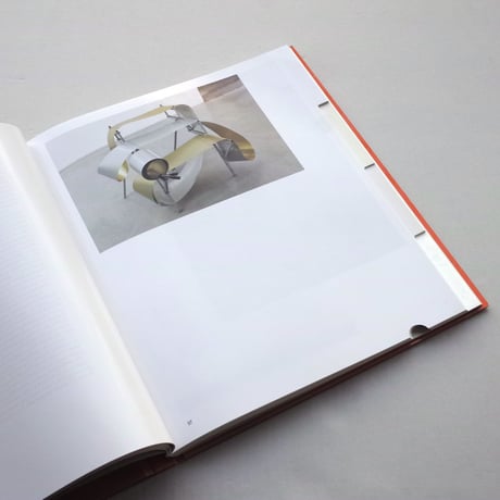 Gabriel Kuri / Sorted, Resorted