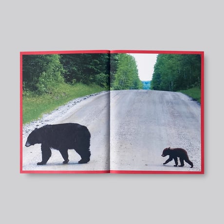 CAMPER 50 (1975-2025) WALK, DON'T RUN