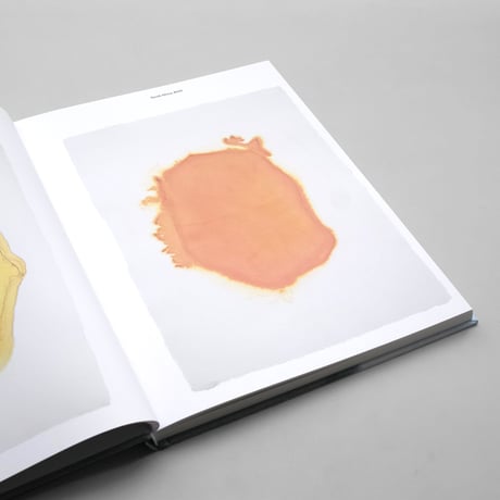 Sarah Bildstein / 100 Spectres