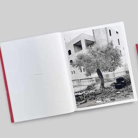 Adam Broomberg, Rafael Gonzalez / Anchor in the Landscape