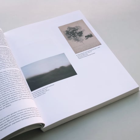 Gerhard Richter / Abstraktion