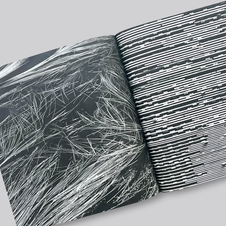 The Furniture of Poul Kjaerholm : Catalogue Raisonne