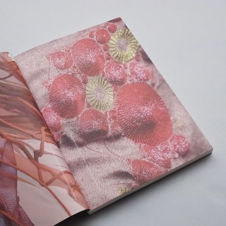 Marina Toeters / Unfolding fashion tech